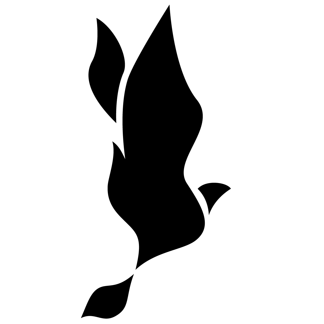 Phönix logo design thumbnail.